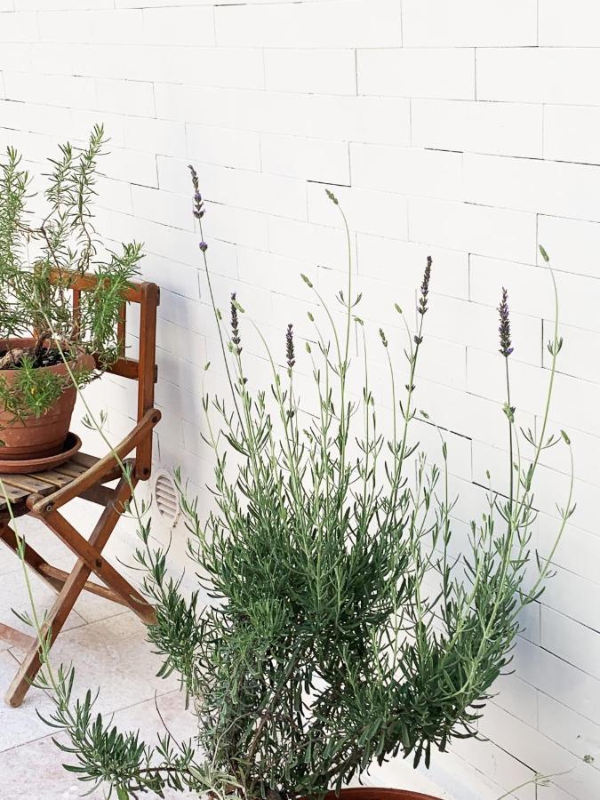 Tap Apartments - In Independent House With Private Garden Alghero Eksteriør billede